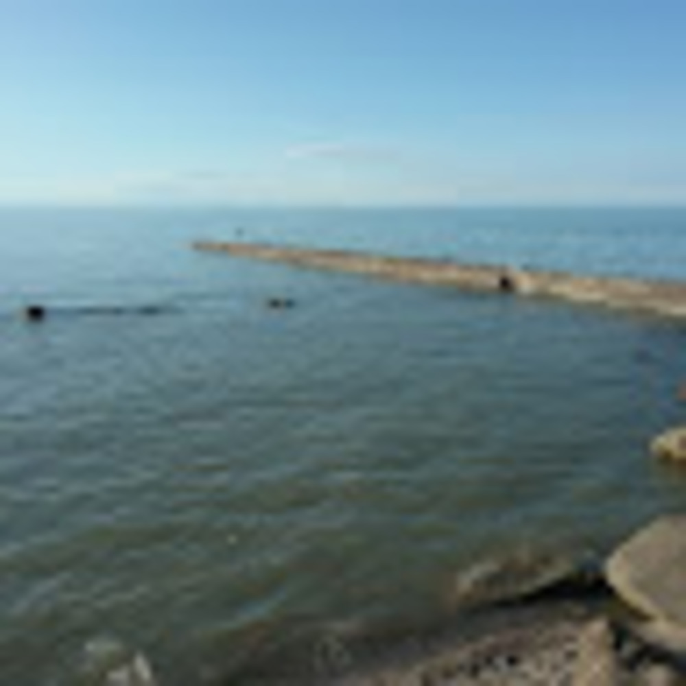 Meet your Posher, Lanese